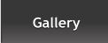 Gallery Gallery